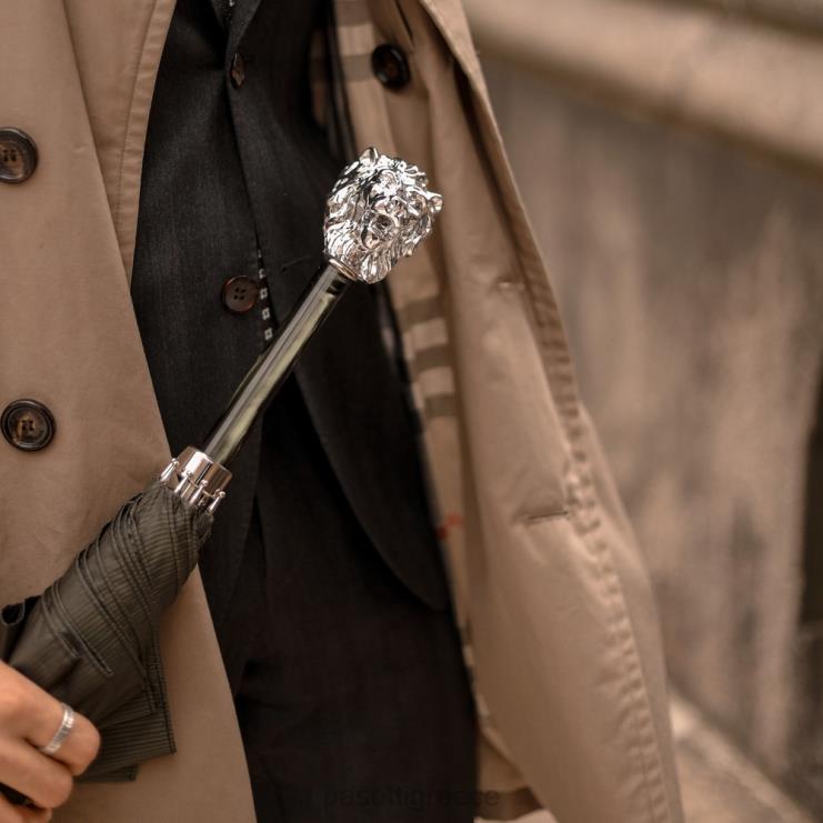 ομπρέλα | PASOTTI 478 6768-6 w37pv - πράσινη ομπρέλα ασημί λαβή λιονταριού 2N6B879 άνδρες